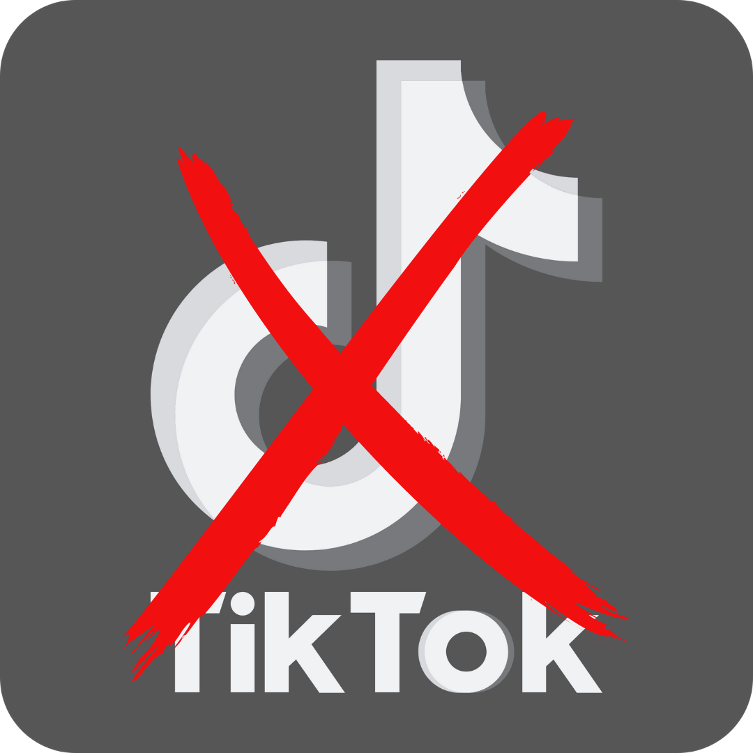 Congressman Flood: TikTok’s Data Harvesting Operation is Nearing the
