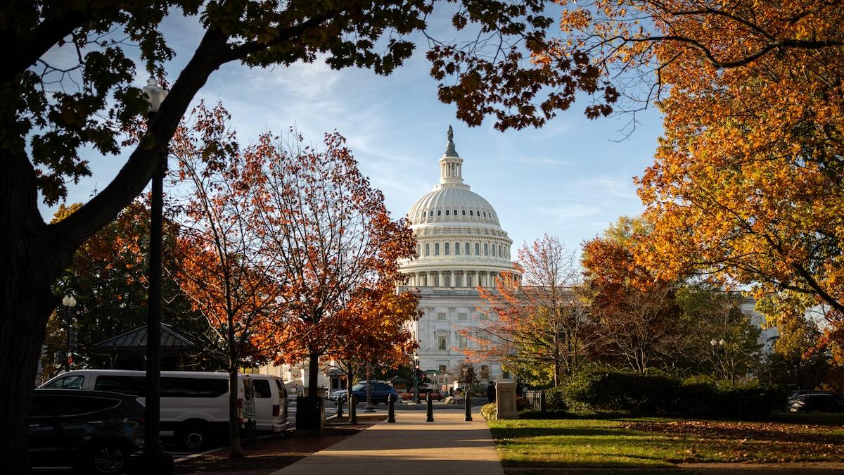 Fall Capitol