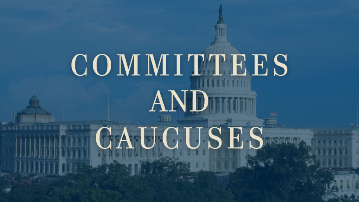 COMMITTEES AND CAUCUSES